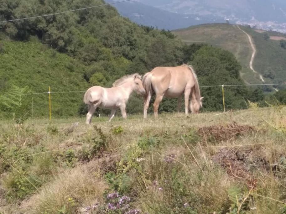 Gite La Grangette De Pauline Mercus-Garrabet Εξωτερικό φωτογραφία