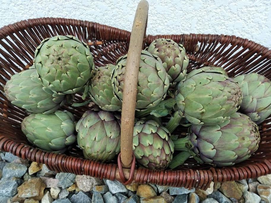 Gite La Grangette De Pauline Mercus-Garrabet Εξωτερικό φωτογραφία