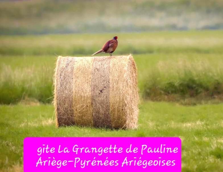 Gite La Grangette De Pauline Mercus-Garrabet Εξωτερικό φωτογραφία